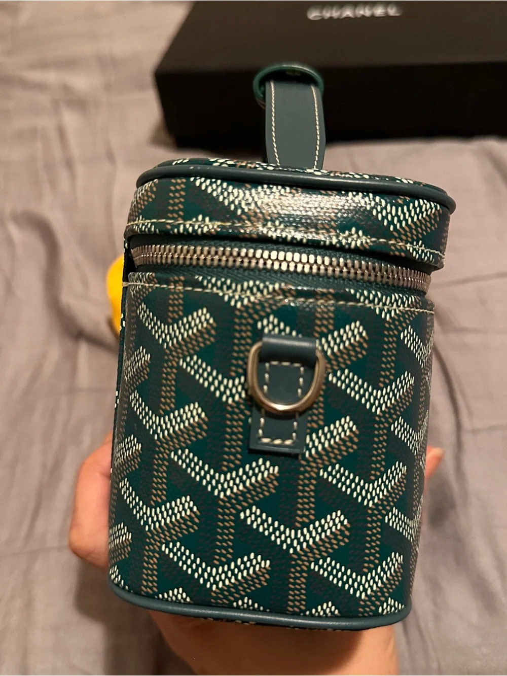 Goyard Mini Green Coated Canvas Vanity Muse Case with Removable Strap